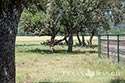 342 acre ranch Medina County image 44