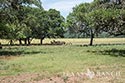342 acre ranch Medina County image 47