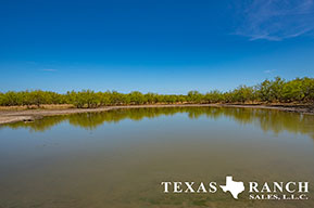 South Texas ranch 342 acres, Zavala county image 1