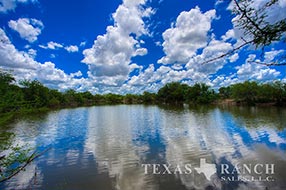 South Texas ranch 744 acres, Webb county image 1