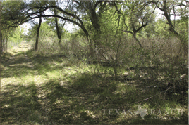 4000 acres kinney county image 4