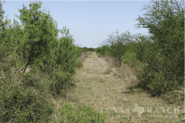 4000 acres kinney county image 7