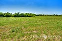 40.897 acre ranch Medina County image 27