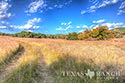 445 acre ranch Bandera County image 9