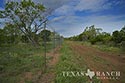 47 acre ranch Medina County image 15