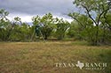 47 acre ranch Medina County image 6
