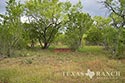 47 acre ranch Medina County image 7