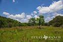 49.99 acres ranch Kerr County image 28