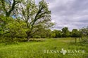 507 acre ranch Menard County image 55