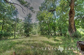 South Texas ranch 511 acres, Zavala county image 2