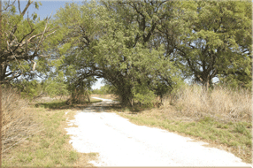 5400 Acres Image 12