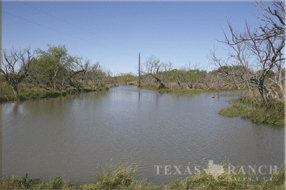 5400 Acres Image 14