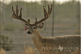 5400 Acres Image 20