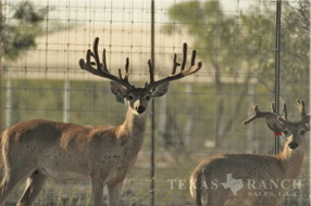 5400 Acres Image 24