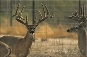 5400 Acres Image 27