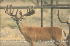 5400 Acres Image 28