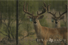 5400 Acres Image 29