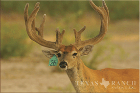 5400 Acres Image 30