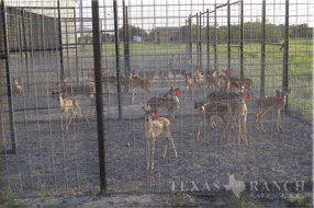 5400 Acres Image 32