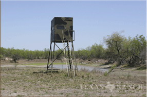5400 Acres Image 42