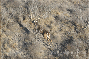 5680 Acres Image 73
