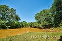 549 acre ranch La Salle County image 36