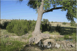 ranch 55 acres Jeff Davis county