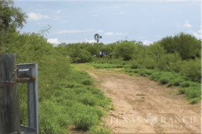 ranch 568 acres, Jim Hogg county - image