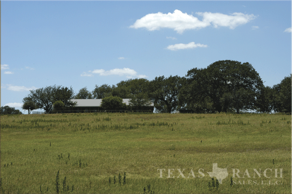 cattle ranch 5800 acres, Atascosa county image