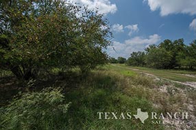 South Texas ranch 610 acres, Zavala county image 1