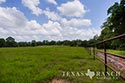 621 acre ranch Bastrop County image 24