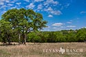 640 acre ranch Kendall County image 3