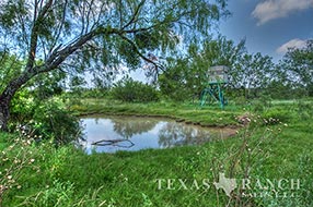 South Texas ranch 640 acres, Zavala county image 2