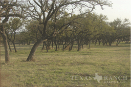 ranch Blanco county 650 acres - image