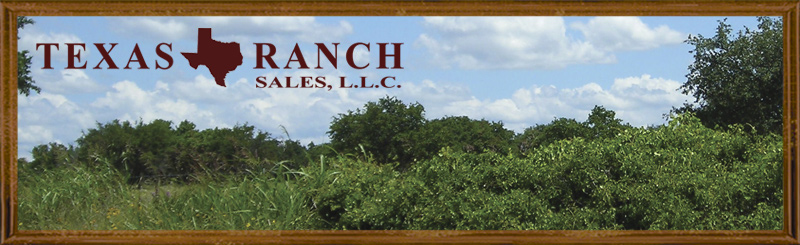 650 acres Blanco county