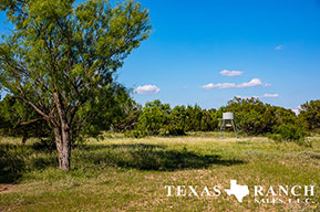 Hill Country ranch sale 740 acres, Concho county image 2