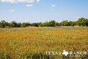 740 acre ranch Concho County image 24
