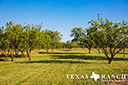 740 acre ranch Concho County image 34