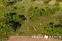 740 acre ranch Concho County image 42