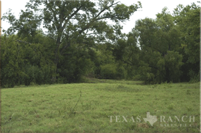 ranch 754 acres, Karnes county - image