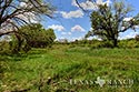 793 acre ranch Kimble County image 61