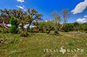 793 acre ranch Kimble County image 62