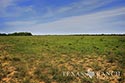 840 acre ranch Zavala County image 41