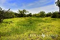 840 acre ranch Zavala County image 42