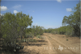 South Texas ranch 864 acres, Zavala county - image