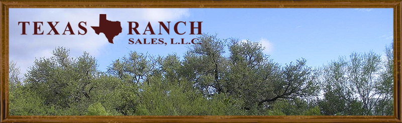 864 acres Zavala County