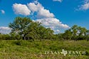 920 acre ranch Medina County image 45