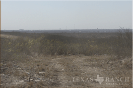 ranch 925 acres, Uvalde county - image