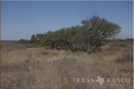 925 acres uvalde county image 6