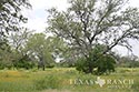 928 acre ranch  County image 30